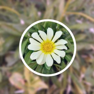 大屁股性爱视频
