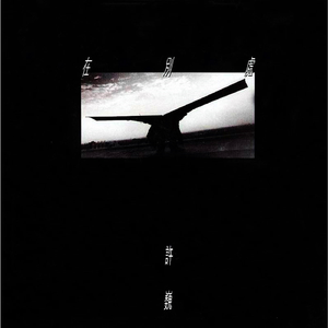 大屁股性爱视频
